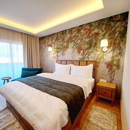 Pensiunea Leonida - Resort Leonida Poiana Tapului エクステリア 写真
